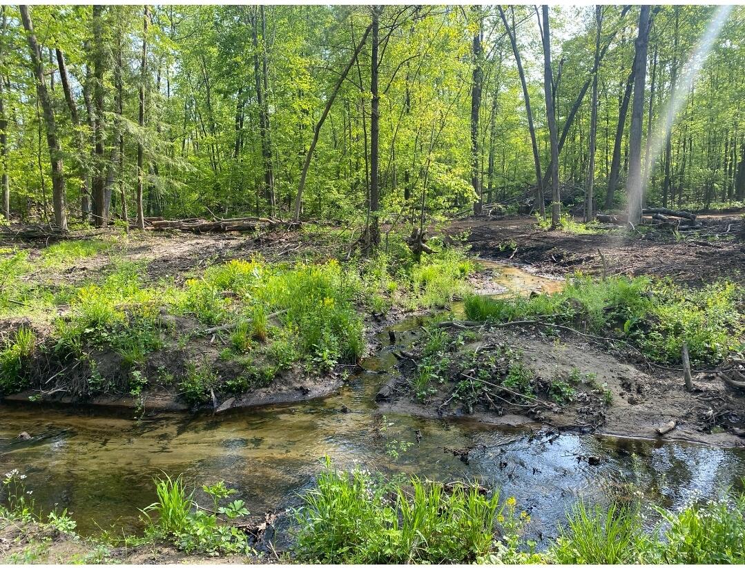B South Behler Road Ravenna, MI 49451 - Photo 1 of 19 Screenshot_20220520-230550_DuckDuckGo