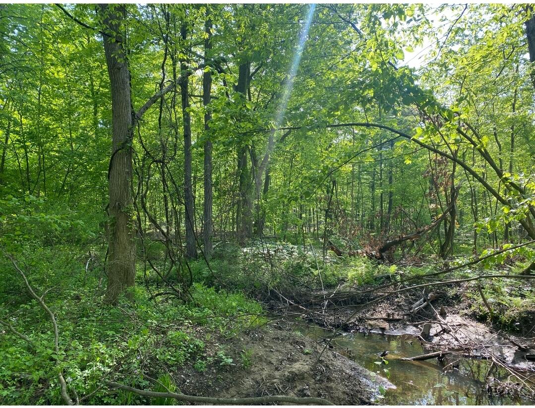B South Behler Road Ravenna, MI 49451 - Photo 15 of 19 Screenshot_20220520-230456_DuckDuckGo
