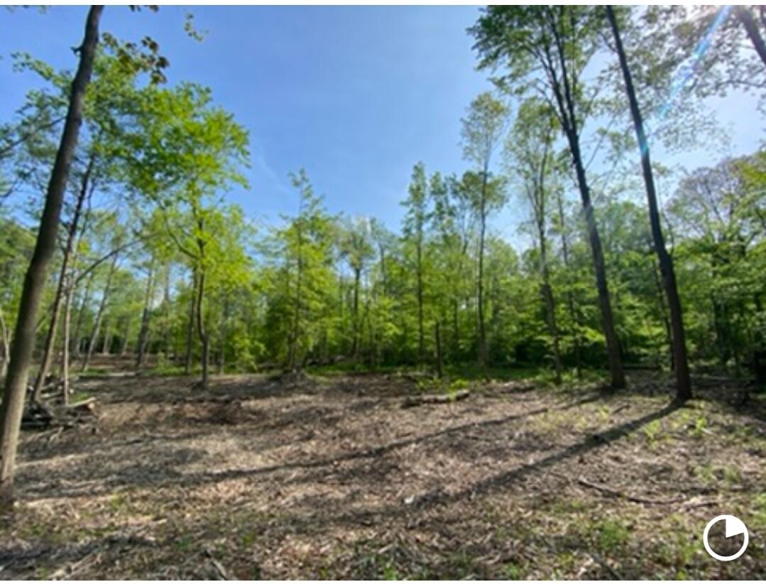 B South Behler Road Ravenna, MI 49451 - Photo 17 of 19 Screenshot_20220520-230250_DuckDuckGo