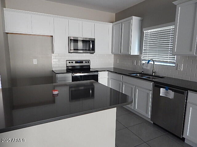 24172 West Ripple Road Buckeye, AZ 85326 - Photo 3 of 15 DSCN9677