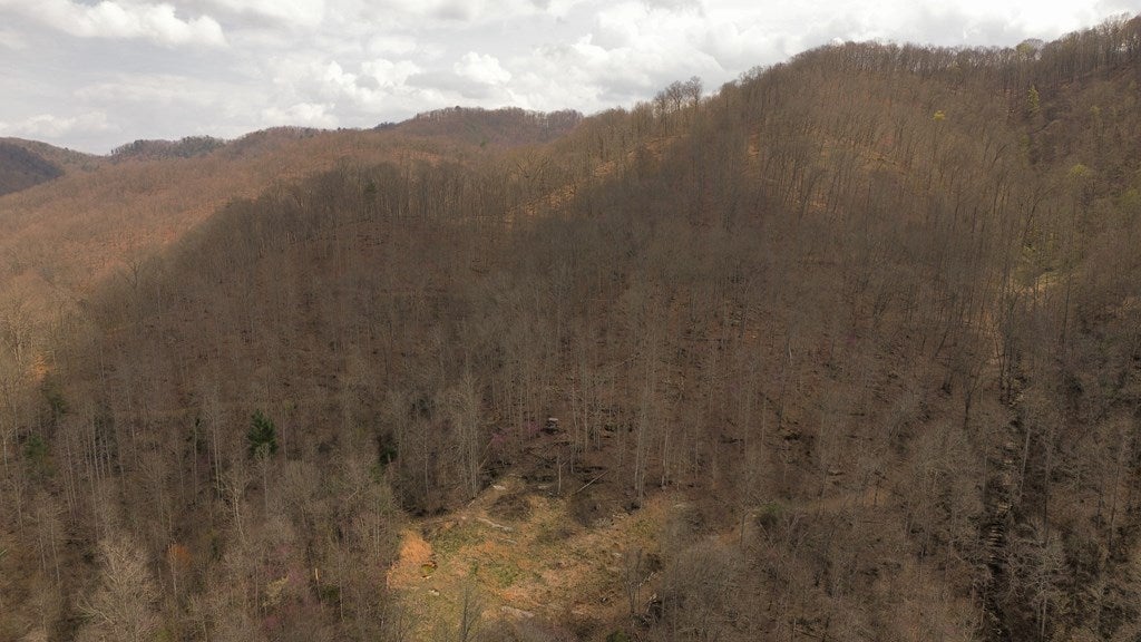 Tbd Caney Valley Road Bristol, VA 24202 - Photo 18 of 23 Gallery Image 18