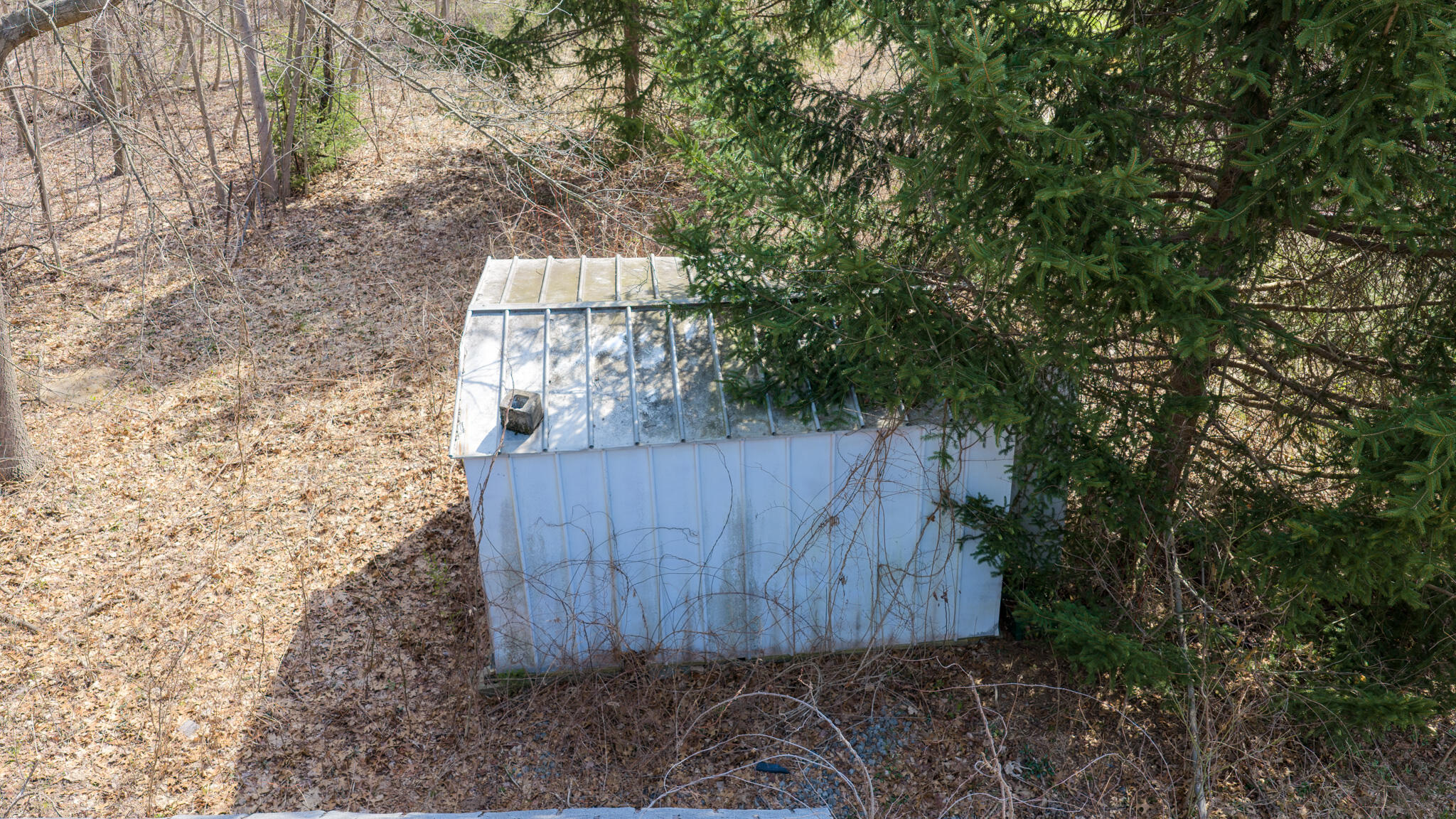 17859 Behner Road New Buffalo, MI 49117 - Photo 17 of 31 ANGIE GERMAN