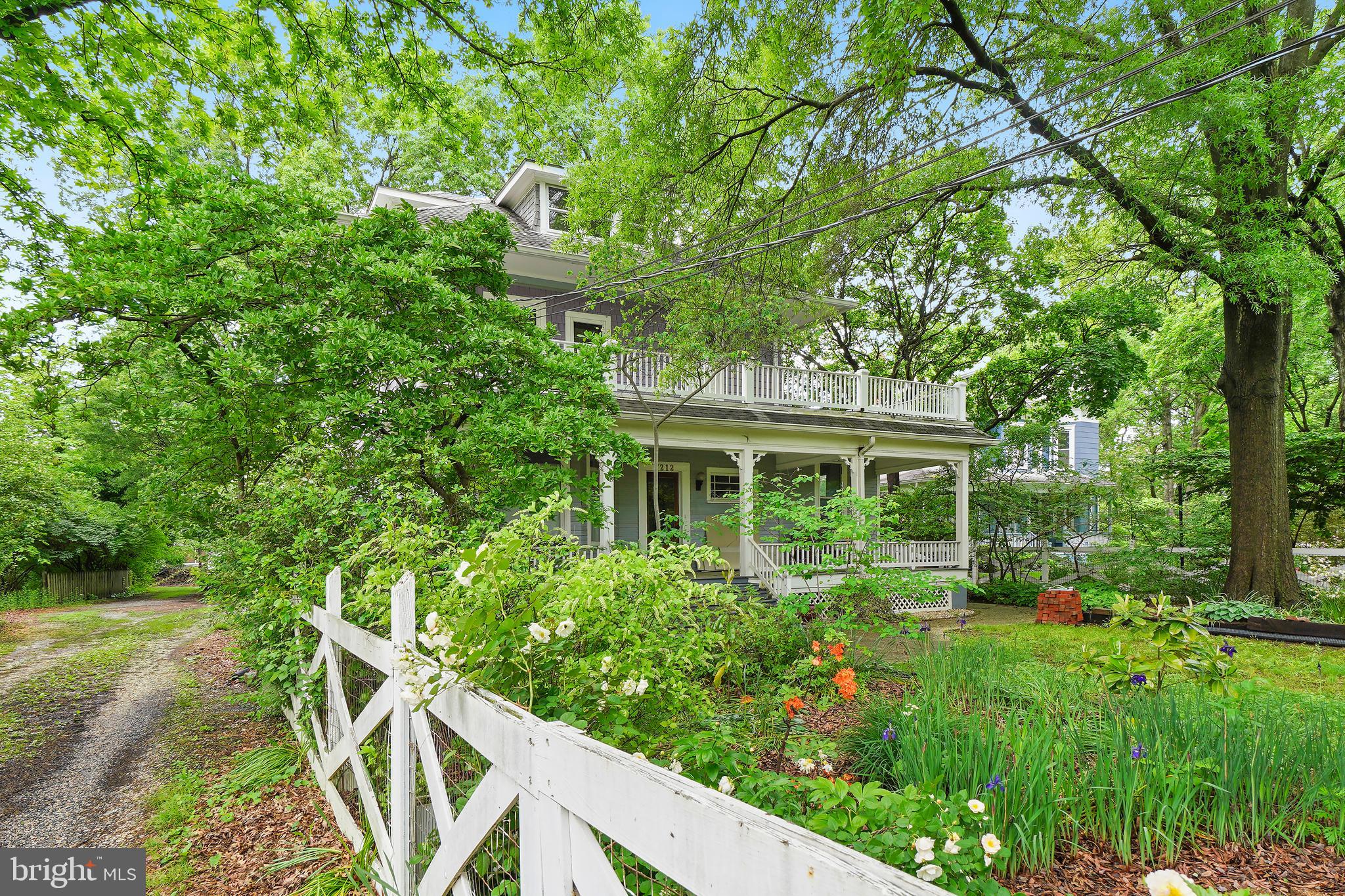 7212 Blair Road Northwest Washington, DC 20012 - Photo 46 of 55 Lush Gardens