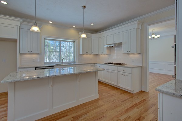 19 Hunters Ridge Way Hopkinton, MA 01748 - Photo 4 of 30 Gallery Image 4