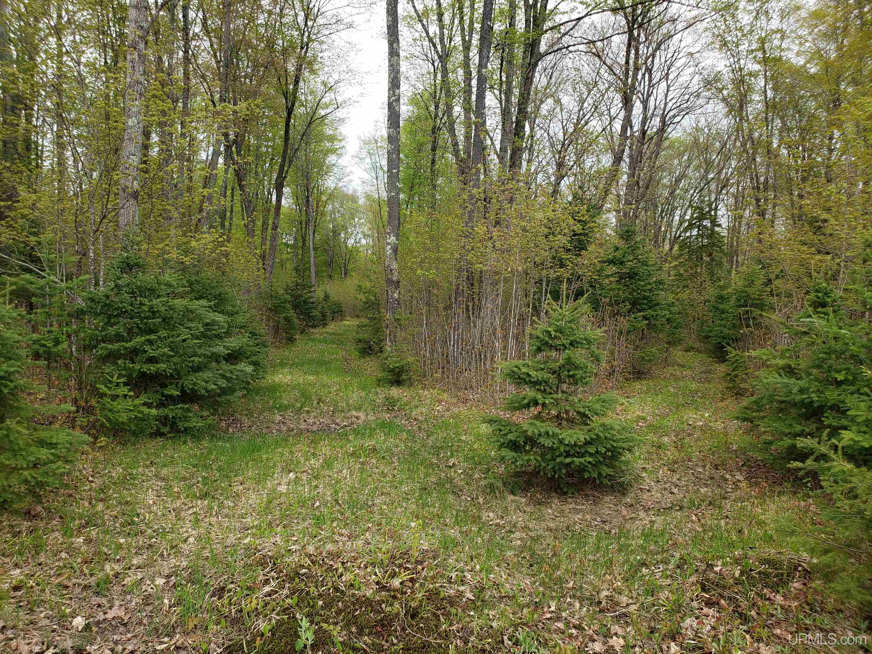 8245 County Road Mercer, WI 54547 - Photo 25 of 35