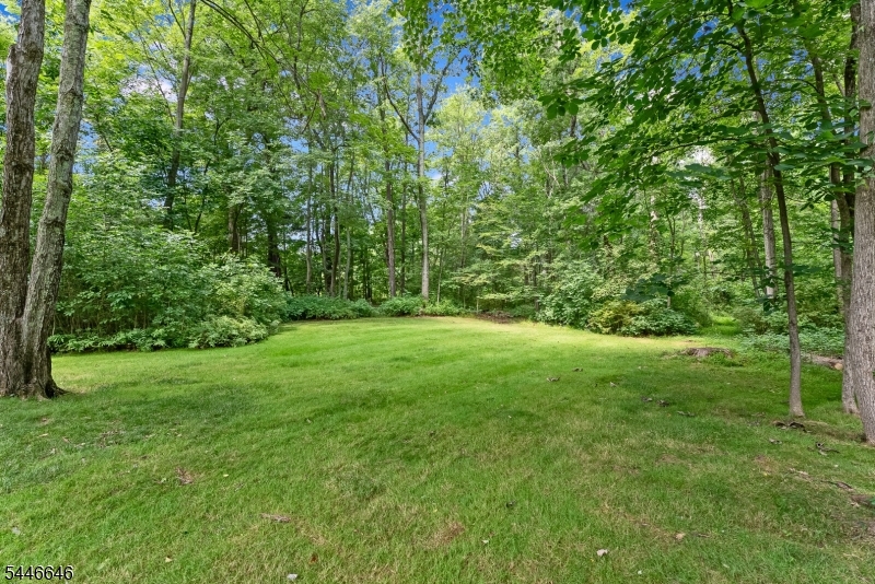 103 Kitchell Road Morristown, NJ 07960 - Photo 35 of 48