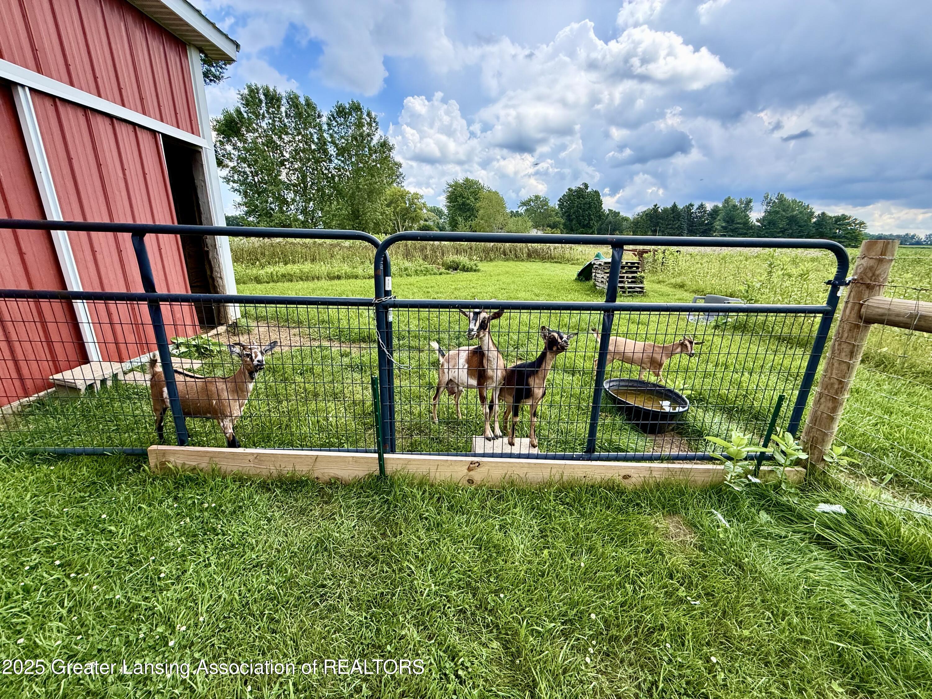 15750 West Ridge Road Oakley, MI 48649 - Photo 52 of 63 IMG_4604