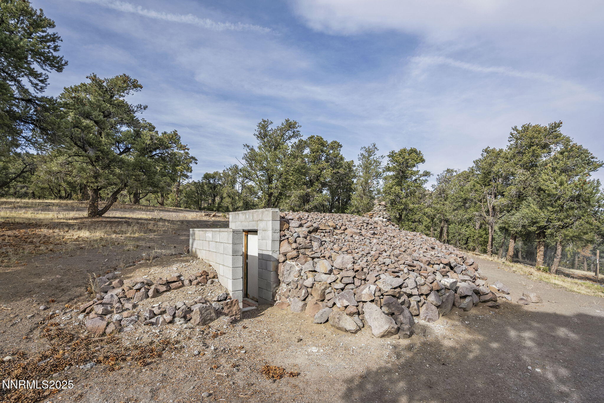 1610 Combination Road Reno, NV 89521 - Photo 55 of 64 a view of a backyard of the house