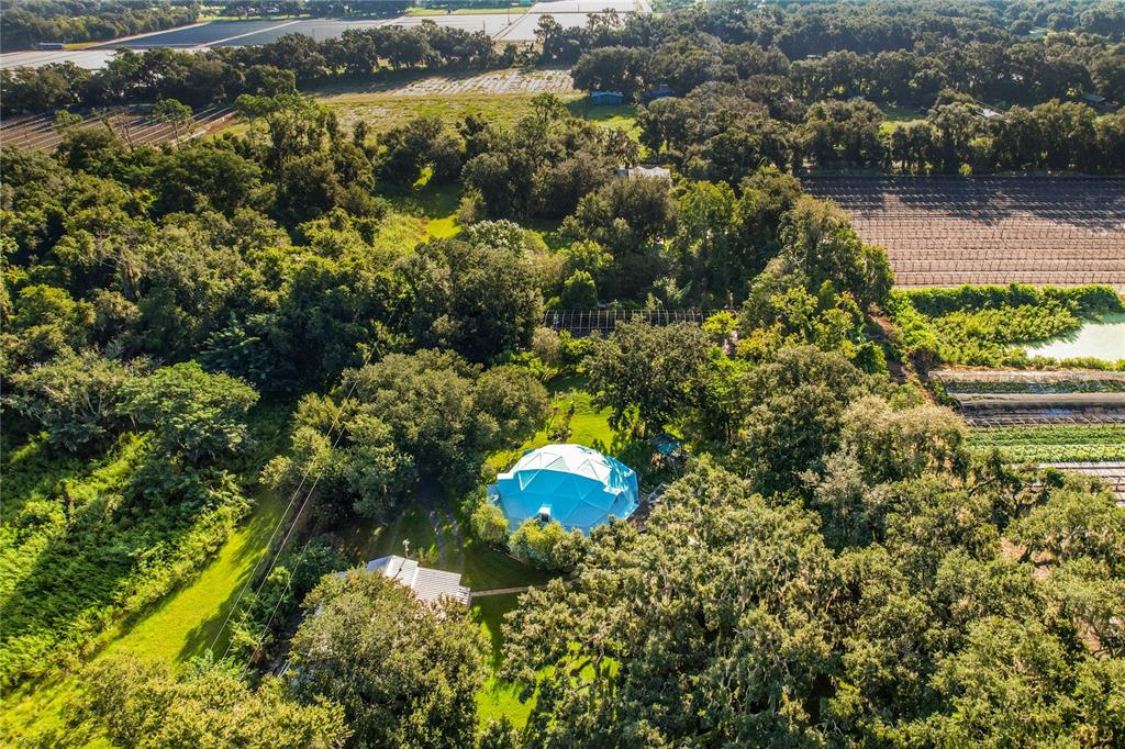2320 Bogaert Road Seffner, FL 33584 - Photo 18 of 69 Gallery Image 18