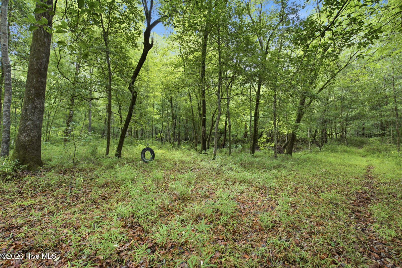 857 Mill River Road Jacksonville, NC 28540 - Photo 12 of 30