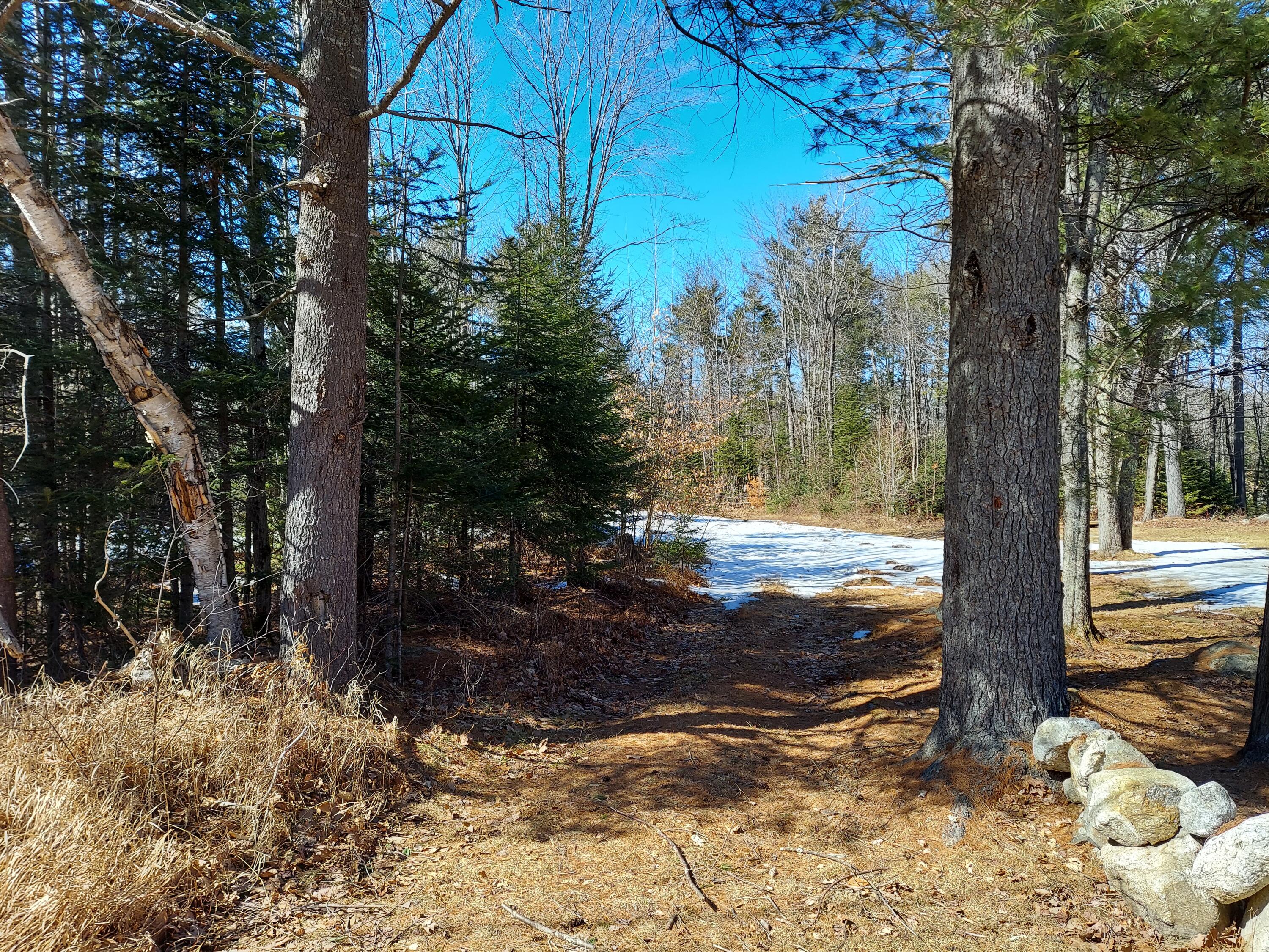 0 Reservoir Road South Paris, ME 04281 - Photo 1 of 2 Tilley1