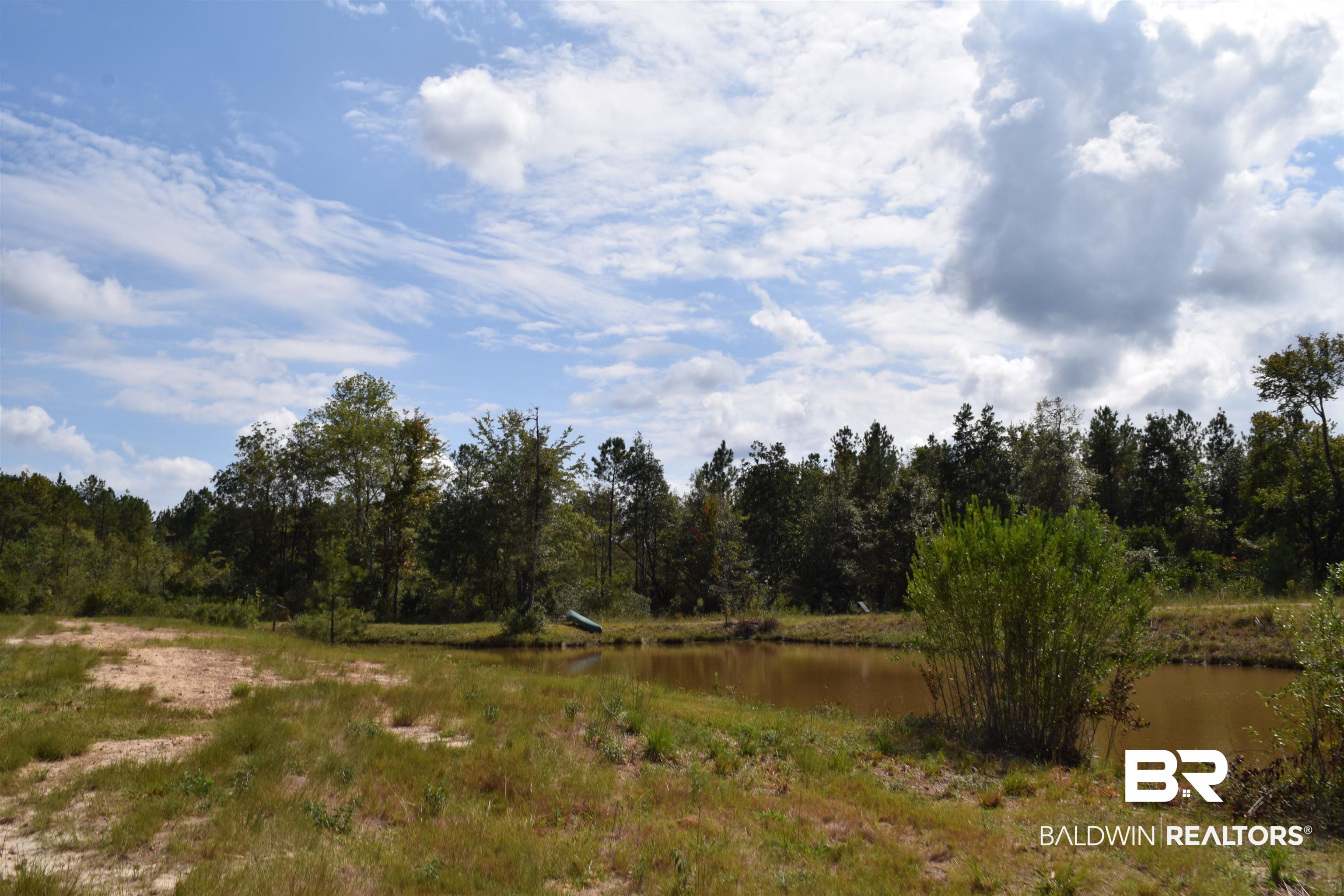 150 Range Road Repton, AL 36475 - Photo 22 of 26