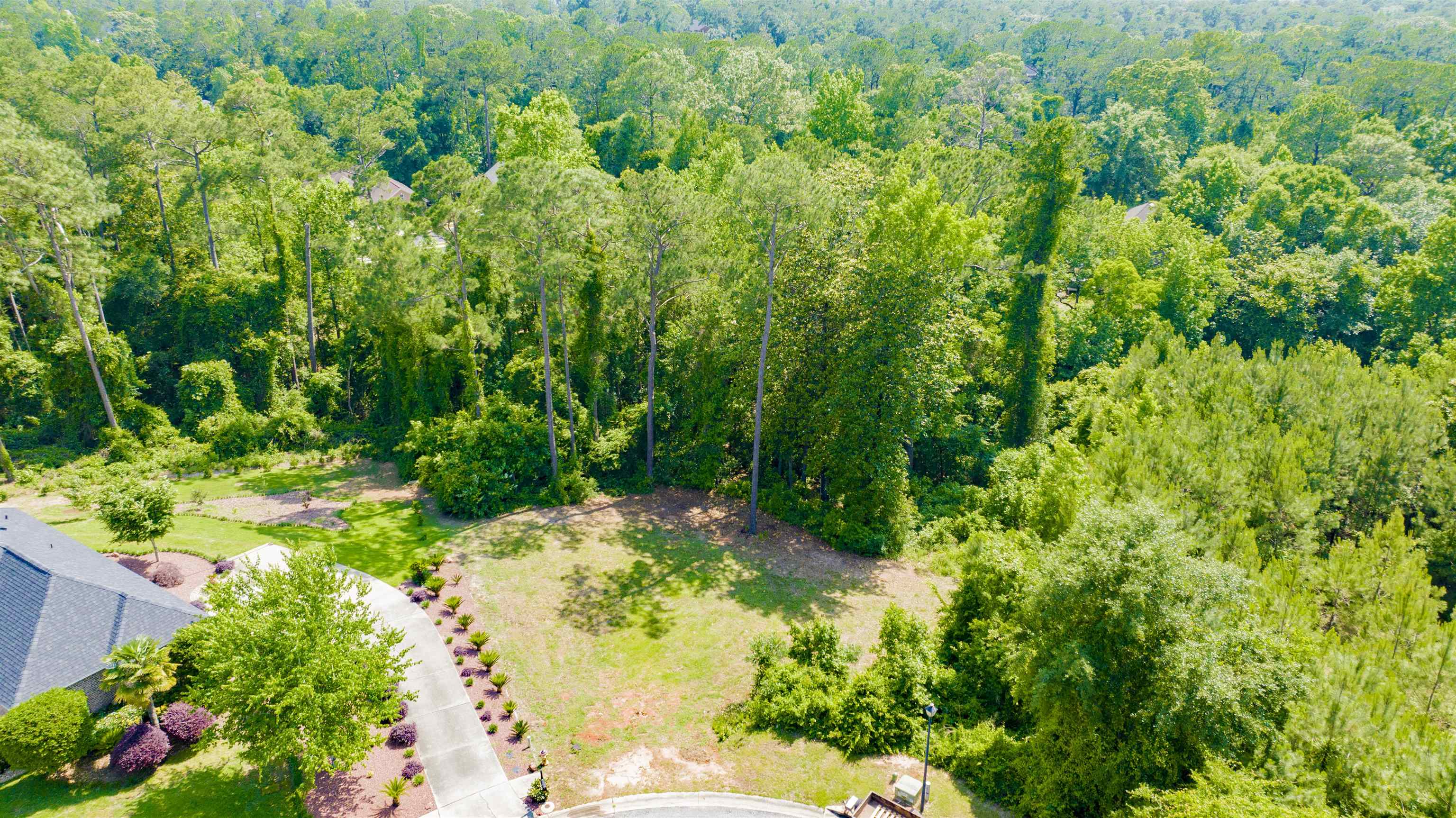 9 Judd Trail Daphne, AL 36527 - Photo 7 of 13