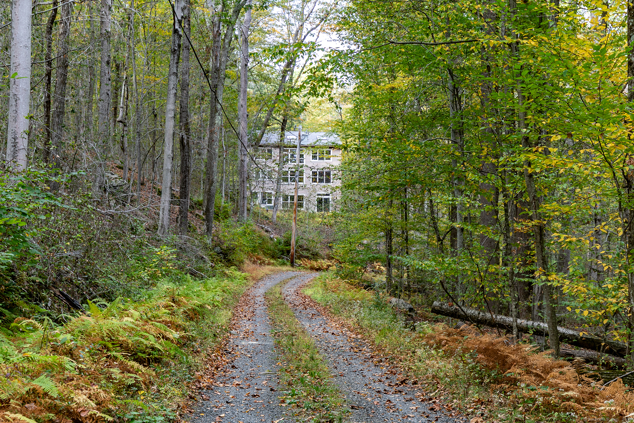 38 West Mountain Lane Roxbury, CT 06783 - Photo 23 of 26 a view of a garden with plants and trees