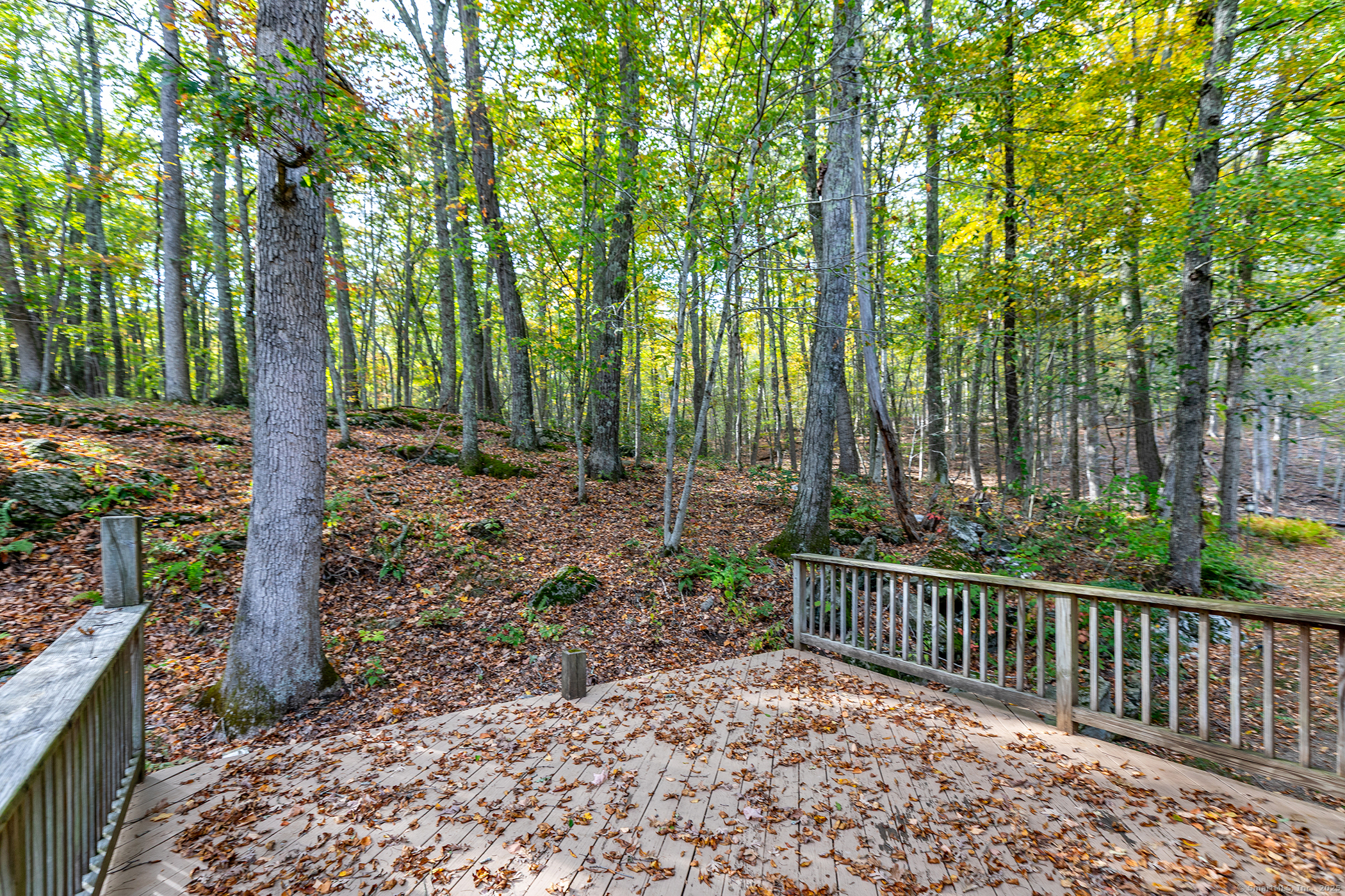 38 West Mountain Lane Roxbury, CT 06783 - Photo 24 of 26 a view of a yard with large trees