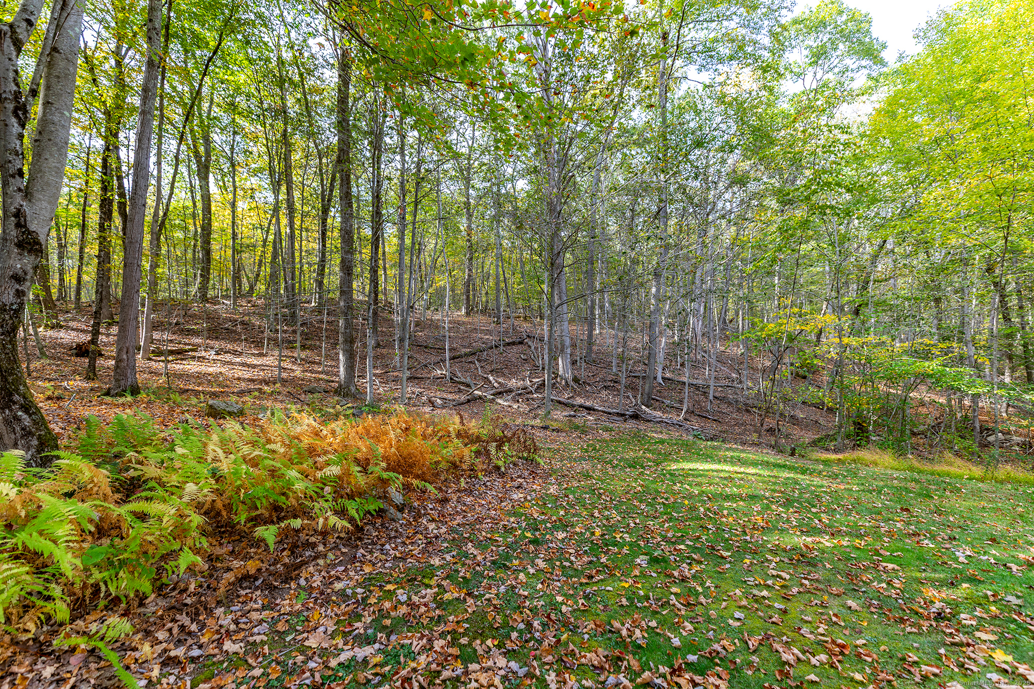 38 West Mountain Lane Roxbury, CT 06783 - Photo 25 of 26 a view of outdoor space with deck and yard