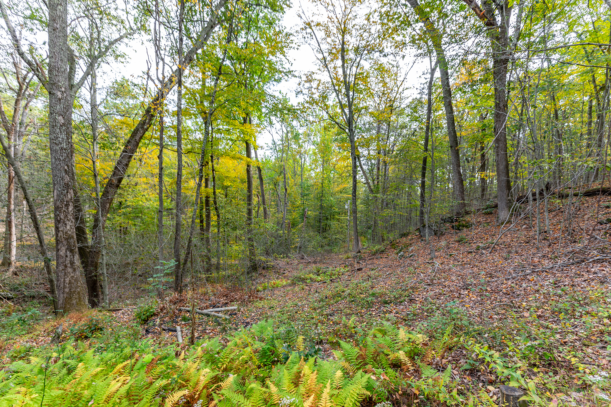 38 West Mountain Lane Roxbury, CT 06783 - Photo 26 of 26 a view of outdoor space and green space