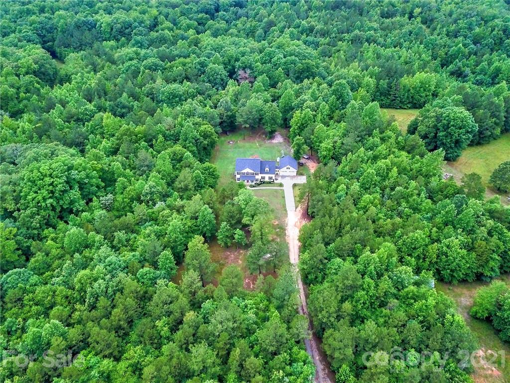 1185 Reservation Road Rock Hill, SC 29730 - Photo 3 of 47 a view of a forest with a tree