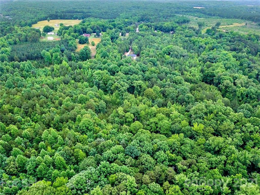 1185 Reservation Road Rock Hill, SC 29730 - Photo 47 of 47 a view of a lush green forest with lots of trees