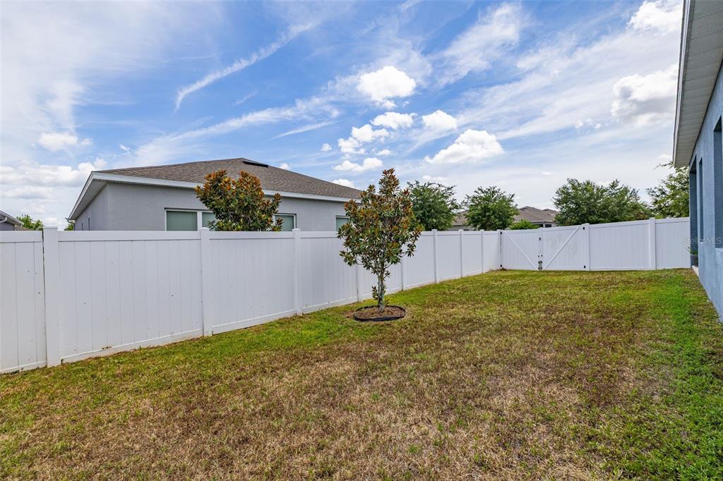 367 August Fern Loop Mount Dora, FL 32757 - Photo 79 of 90