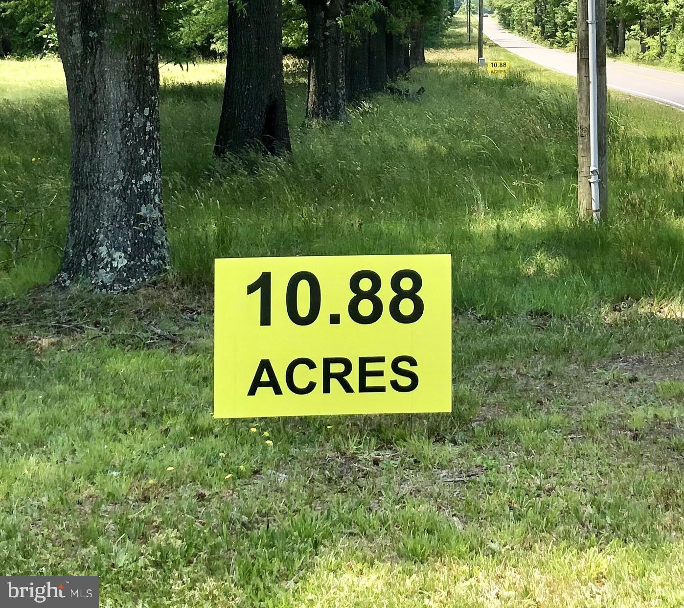 12212 Orange Plank Road Locust Grove, VA 22508 - Photo 10 of 76 Mostly wooded back and side lot