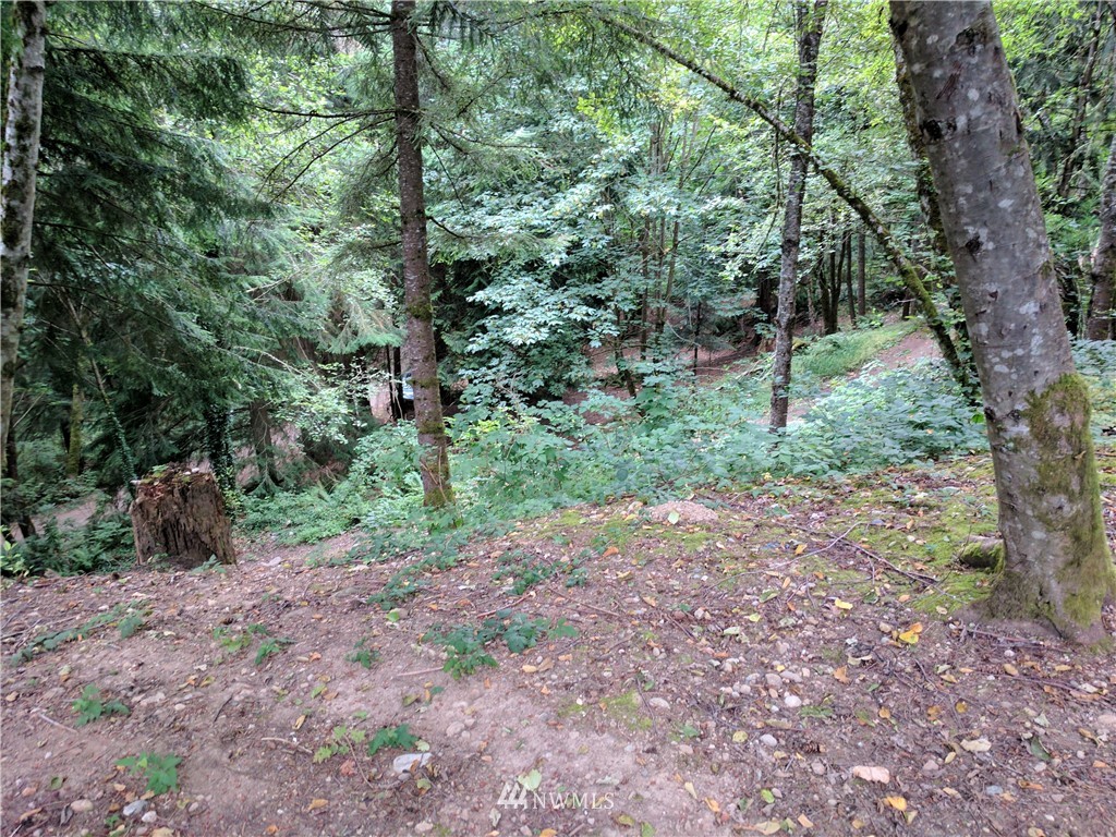 23325 Kings Lake Road Monroe, WA 98272 - Photo 3 of 3 Gallery Image 3