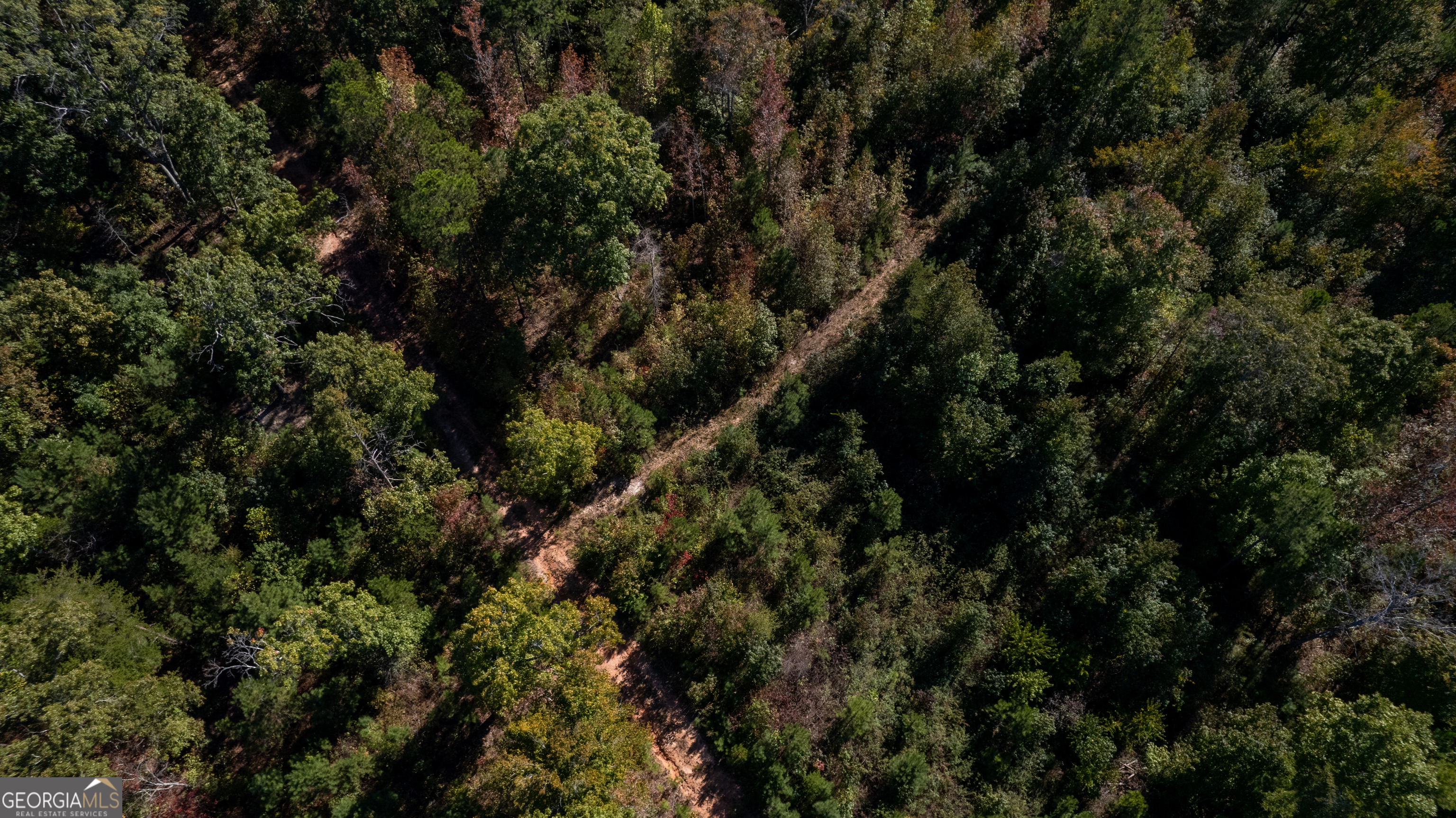 0 Helton Road Bremen, GA 30110 - Photo 1 of 1 a view of a tree