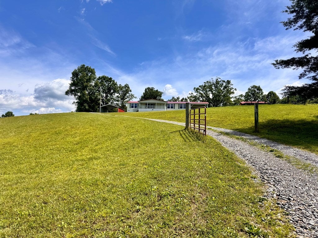 Gallery Image 6