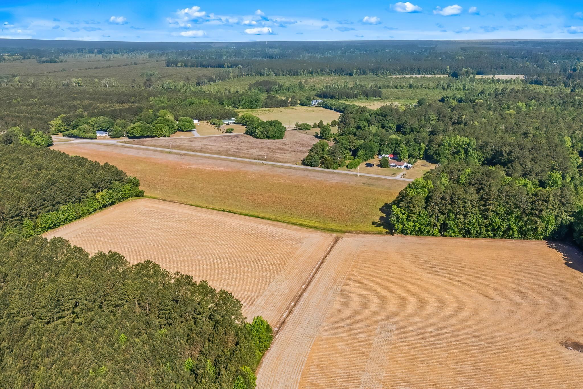 Tbd Ray Road Hemingway, SC 29554 - Photo 11 of 24