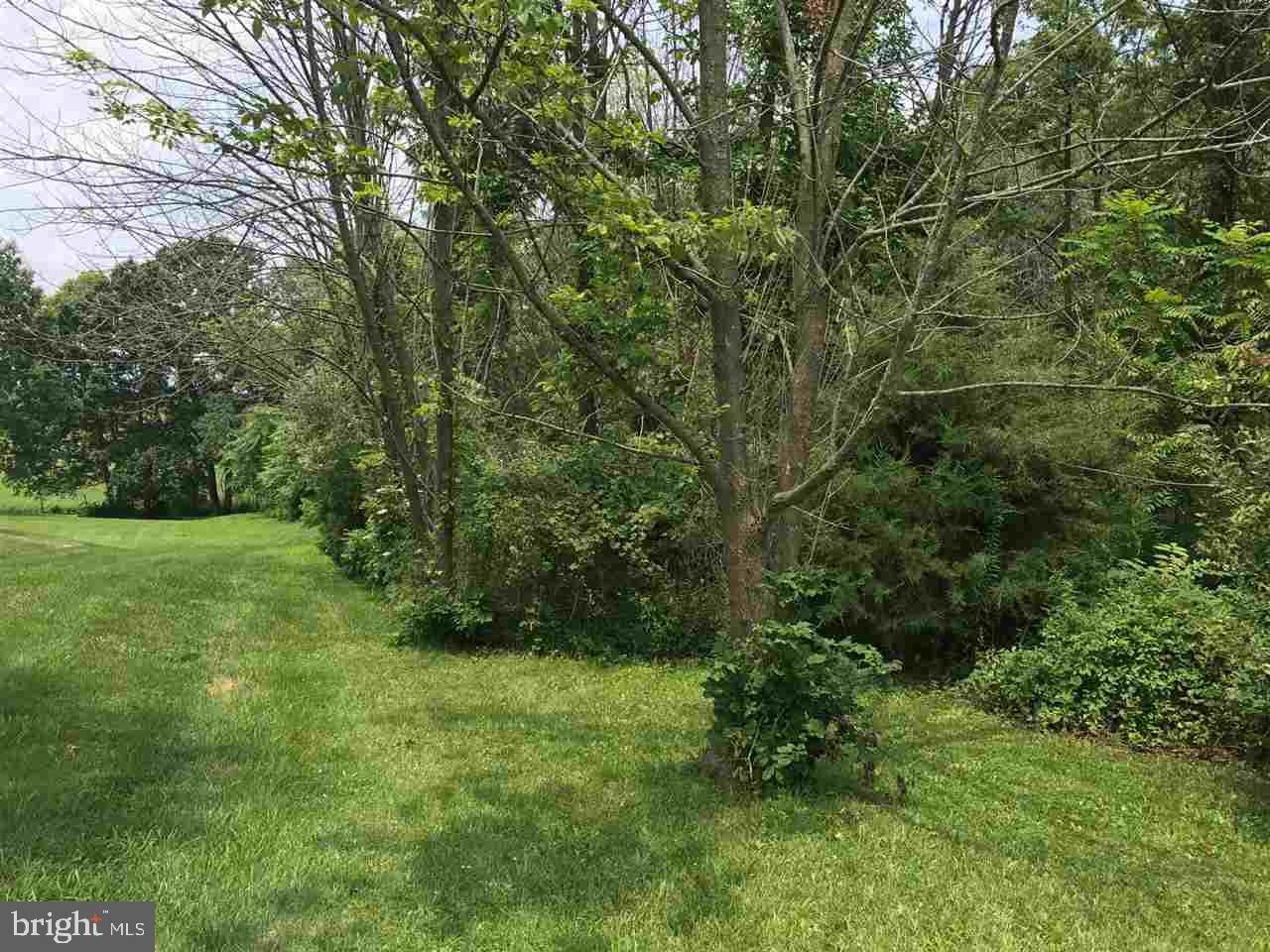Lot 2 Mohawk Road Newville, PA 17241 - Photo 1 of 4