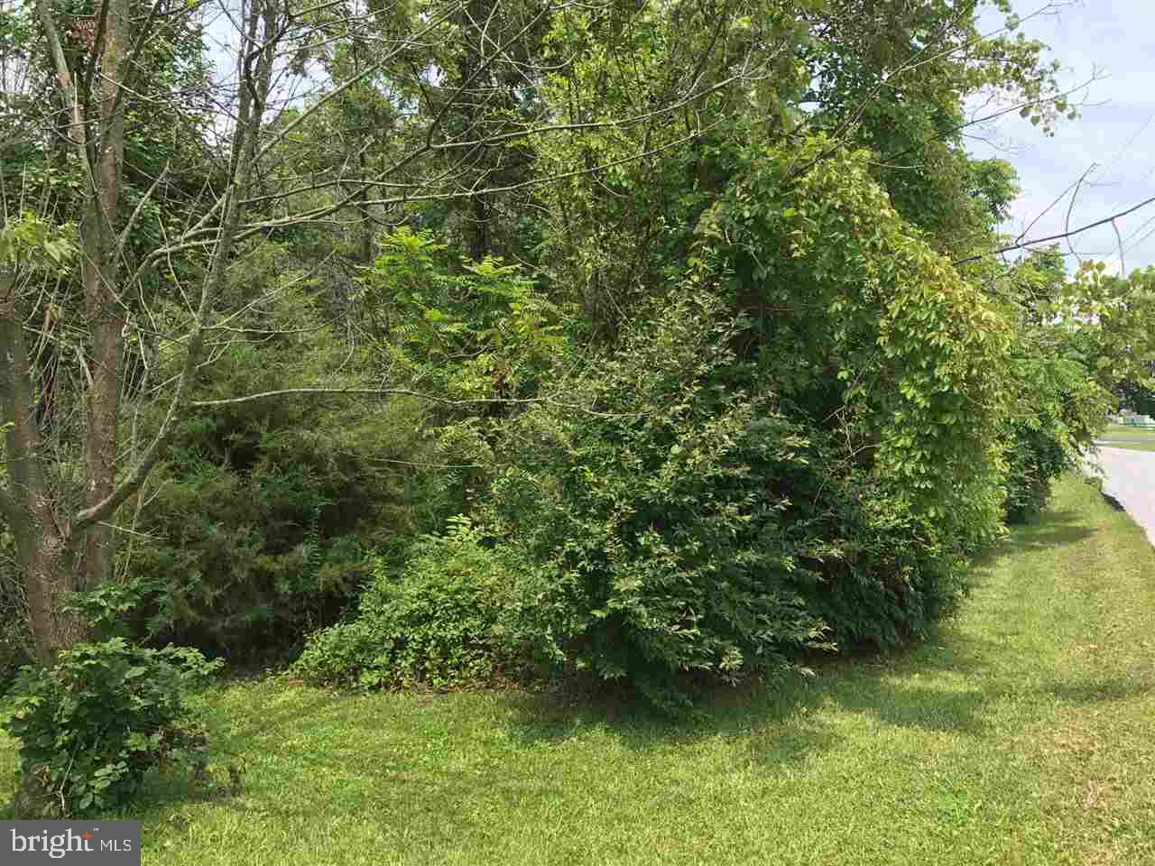 Lot 2 Mohawk Road Newville, PA 17241 - Photo 2 of 4