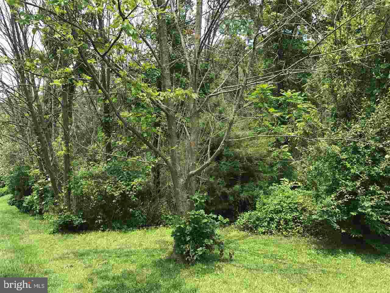 Lot 2 Mohawk Road Newville, PA 17241 - Photo 3 of 4