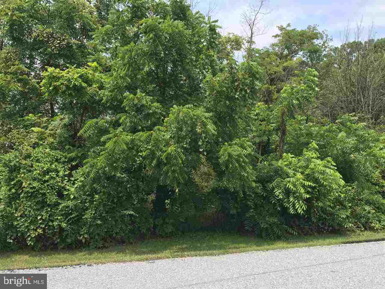 Lot 2 Mohawk Road Newville, PA 17241 - Photo 4 of 4
