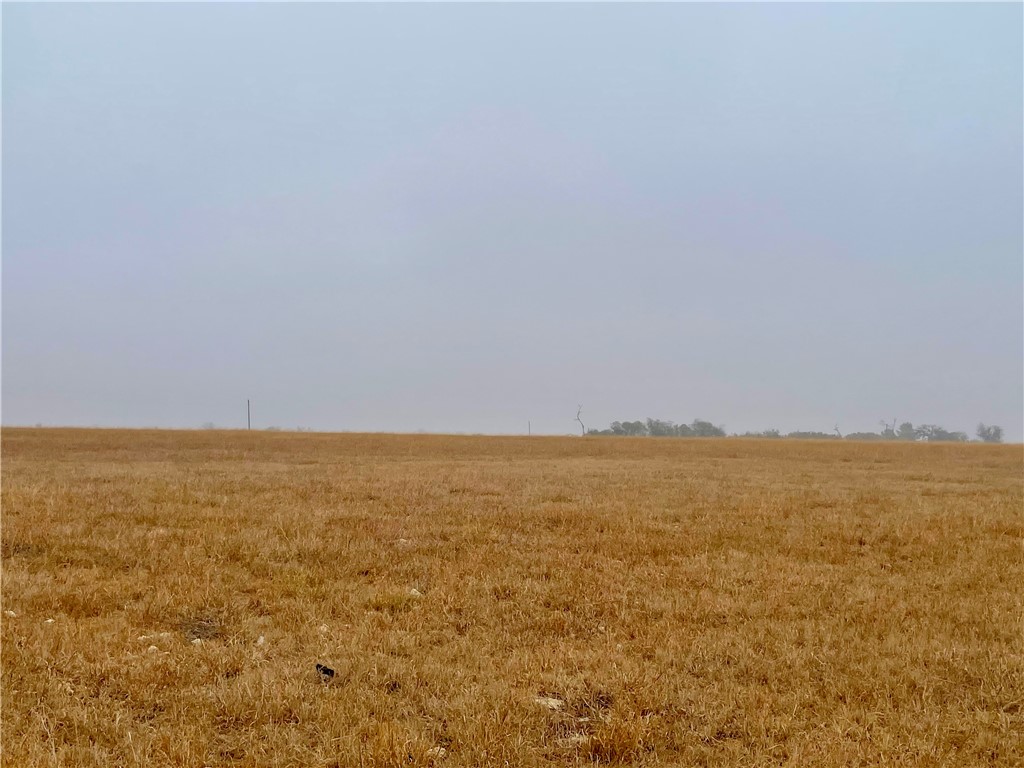 Tbd Miller Road Valley Mills, TX 76689 - Photo 2 of 10