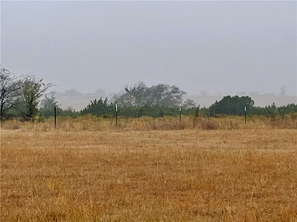 Tbd Miller Road Valley Mills, TX 76689 - Photo 4 of 10