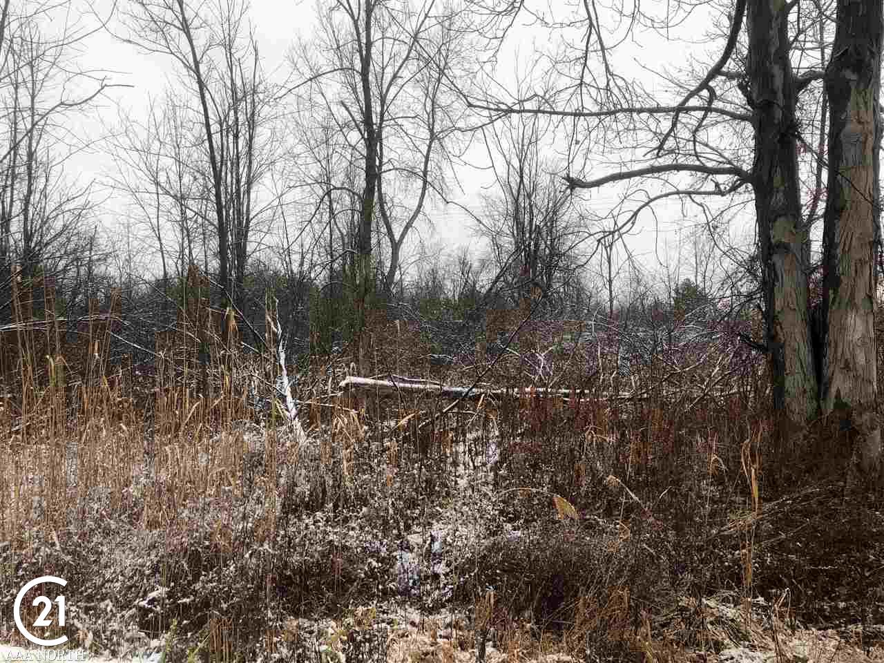 0 Hill Riley Mi 48041 Memphis, MI 48041 - Photo 4 of 7