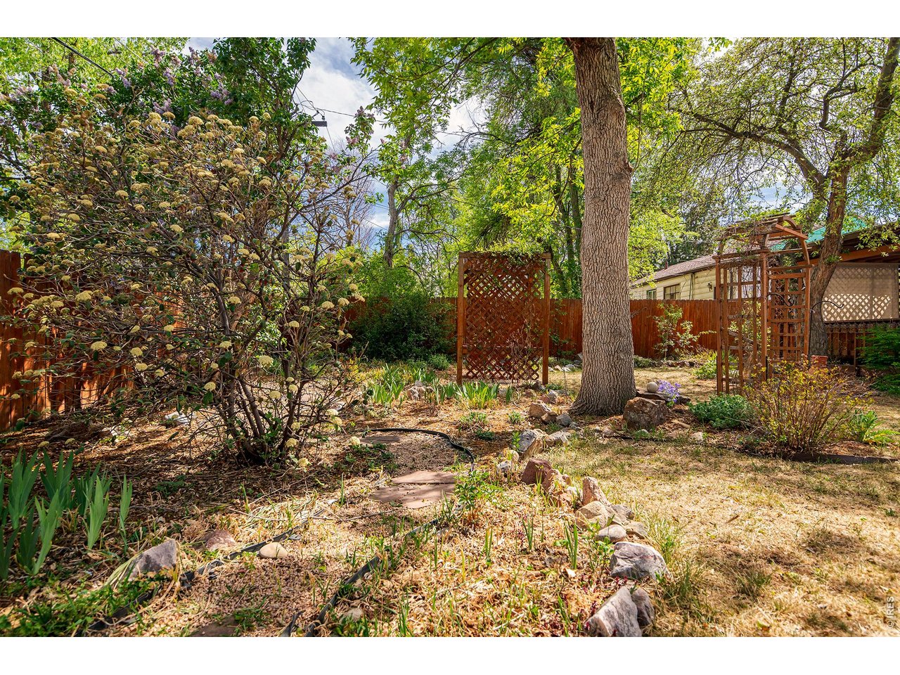 340 27th Street Boulder, CO 80305 - Photo 29 of 42 Well loved gardens
