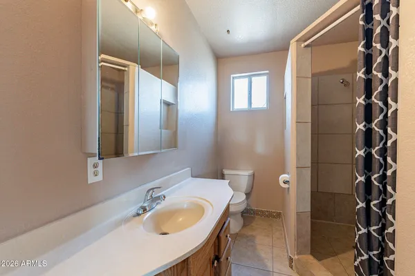 a bathroom with a sink a toilet and mirror