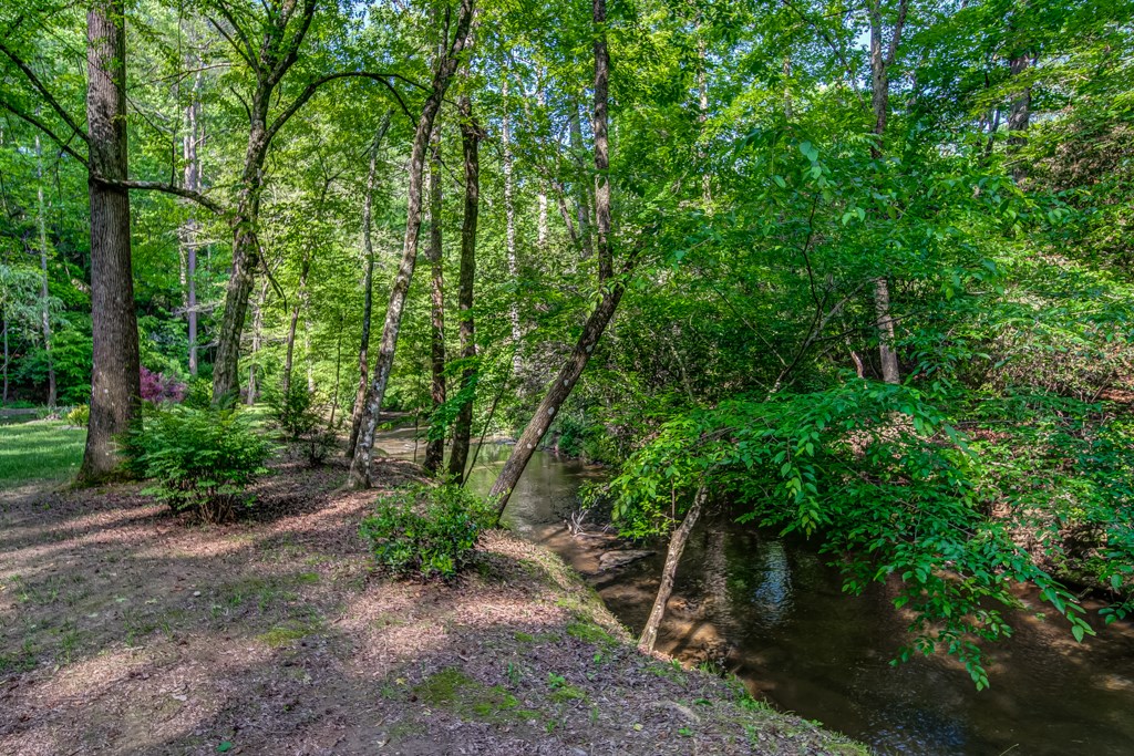 241 Green Ridge Road Jasper, GA 30143 - Photo 84 of 98 Gallery Image 84