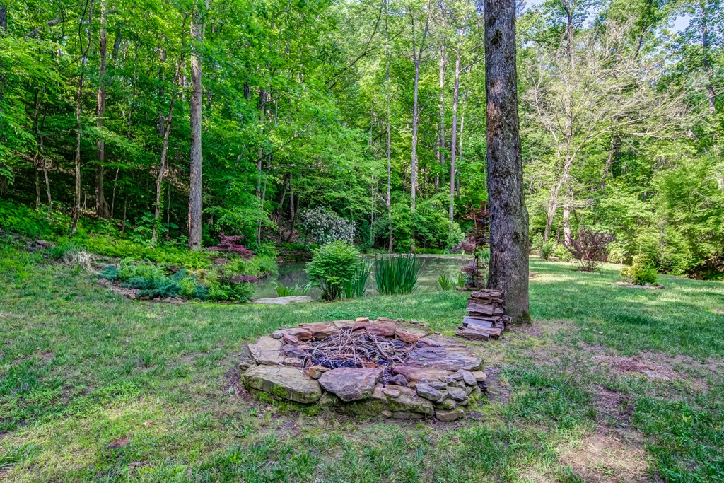 241 Green Ridge Road Jasper, GA 30143 - Photo 86 of 98 Gallery Image 86