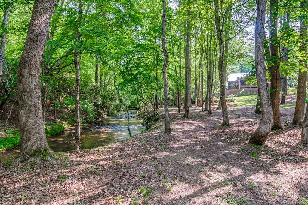 241 Green Ridge Road Jasper, GA 30143 - Photo 90 of 98 Gallery Image 90