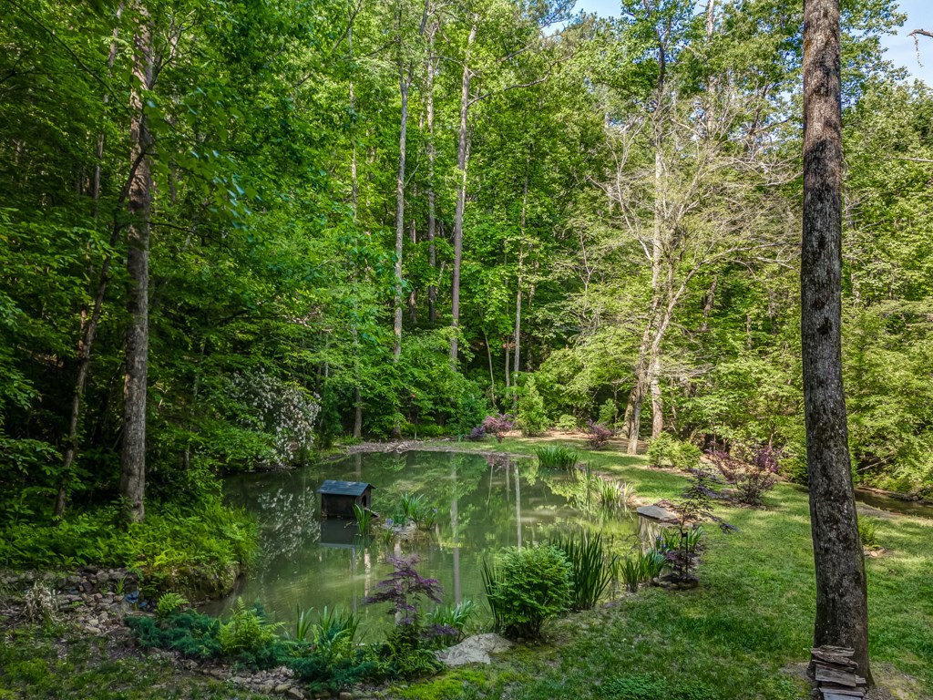 241 Green Ridge Road Jasper, GA 30143 - Photo 10 of 98 Gallery Image 10