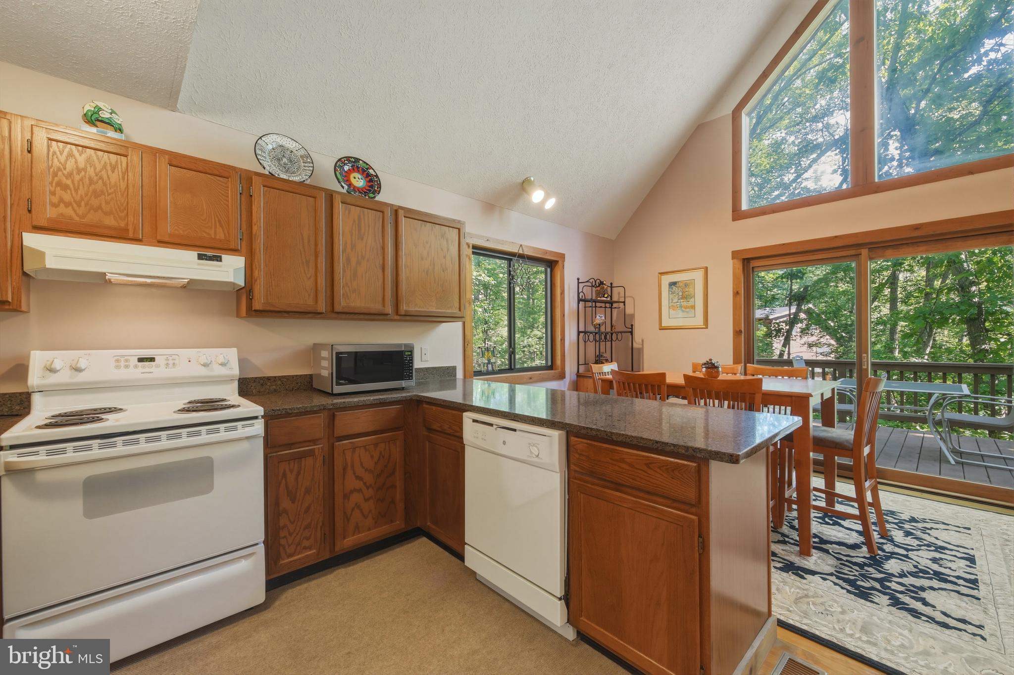 309 Locust Lane Mount Jackson, VA 22842 - Photo 22 of 57 Main Level - Kitchen