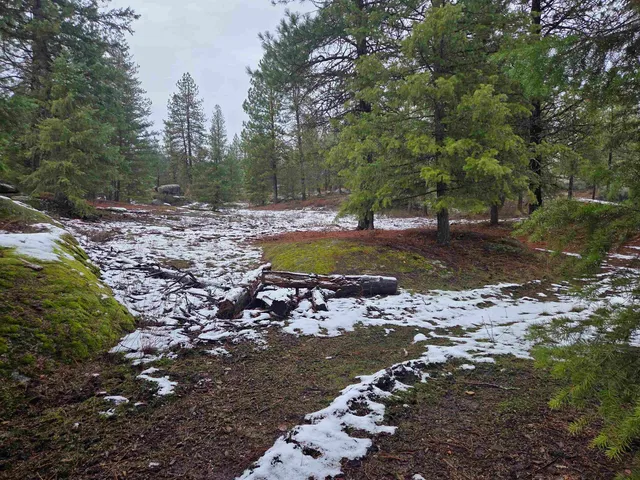 $95,000 | 260 Slate Road, Newport, WA 99156