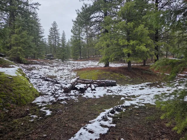 $95,000 | 260 Slate Road, Newport, WA 99156