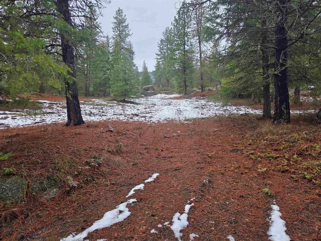 $95,000 | 260 Slate Road, Newport, WA 99156