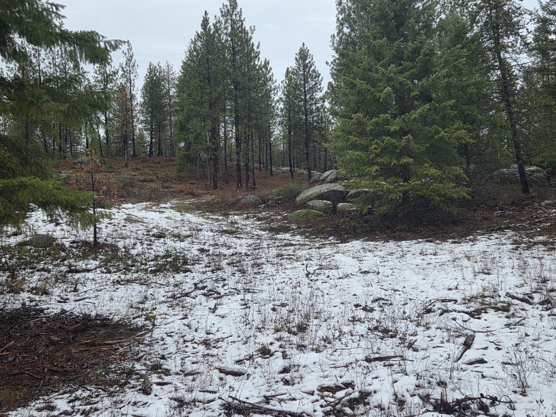 260 Slate Road Newport, WA 99156 - Photo 21 of 24