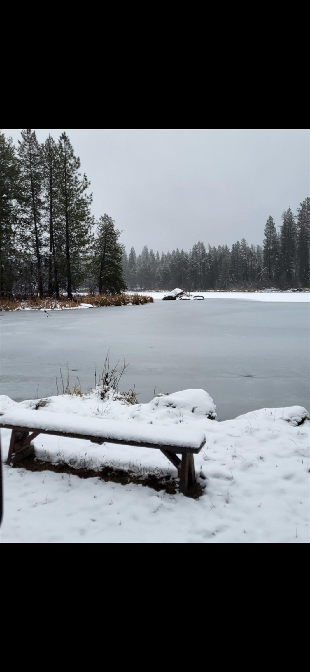 260 Slate Road Newport, WA 99156 - Photo 22 of 24