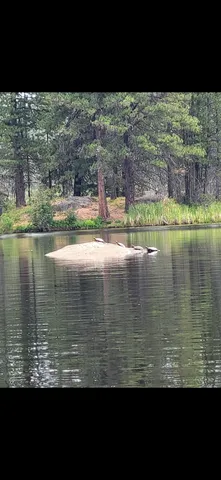 $95,000 | 260 Slate Road, Newport, WA 99156