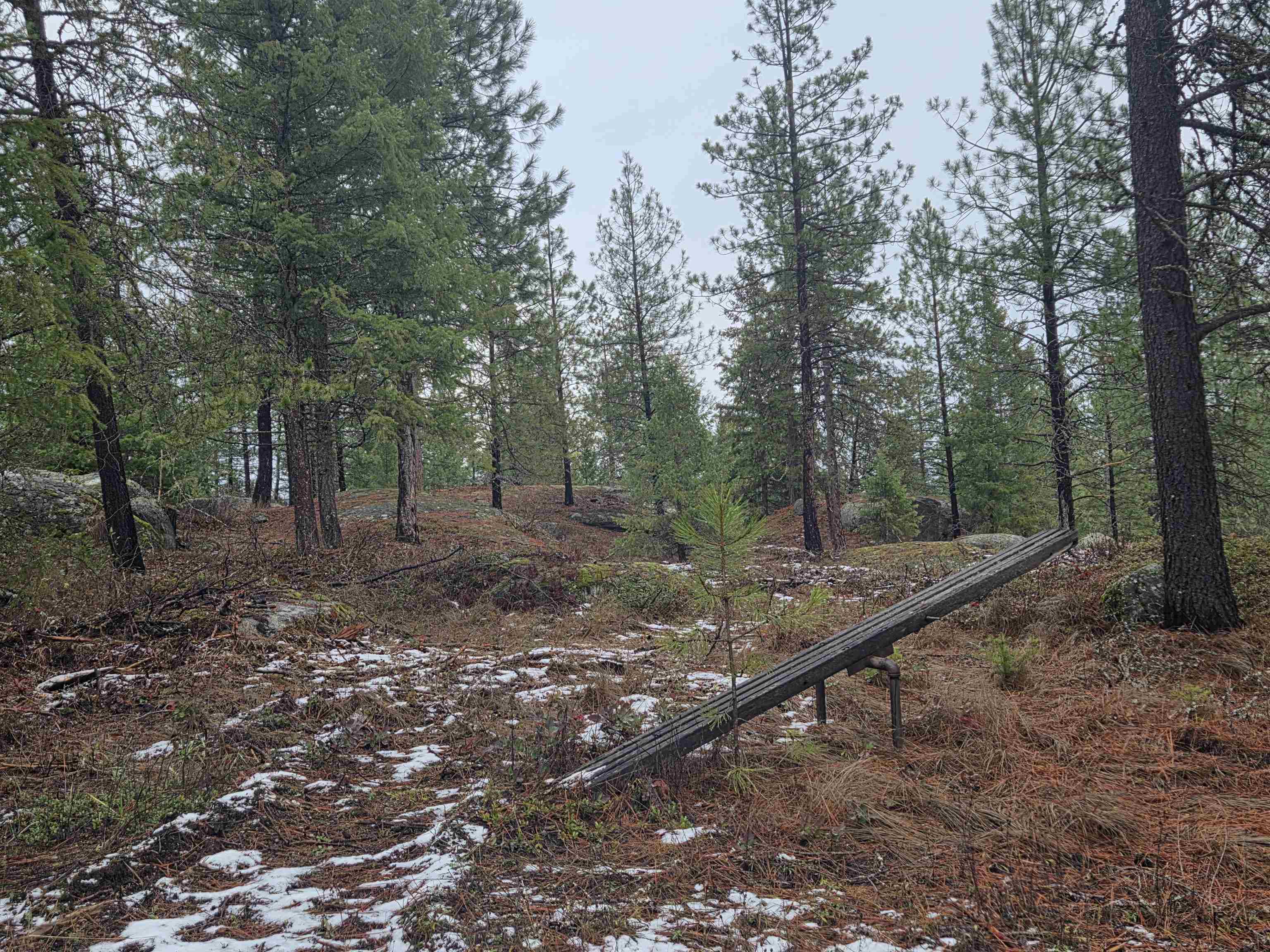 260 Slate Road Newport, WA 99156 - Photo 4 of 24